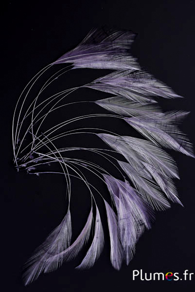 Coq filant - 10-15 cm - anthracite